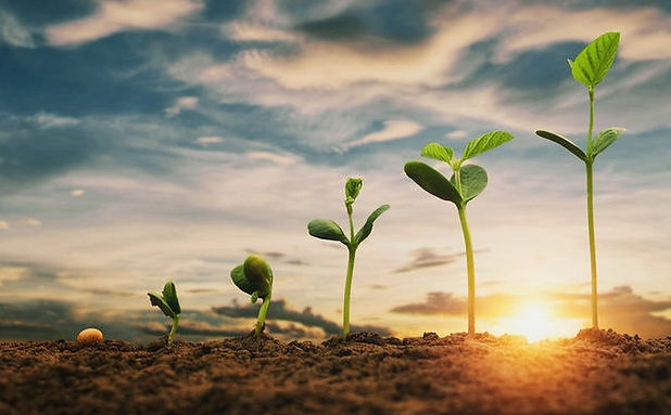 Growing together toward a healthier life